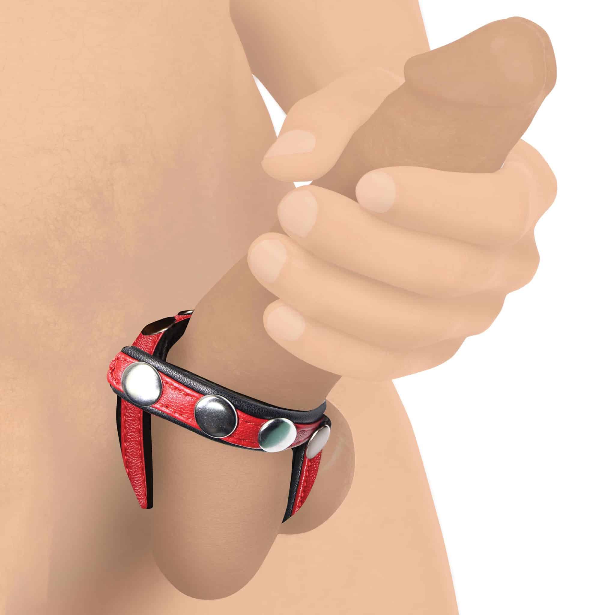 Leather Snap-On Cock Harness - Red-8