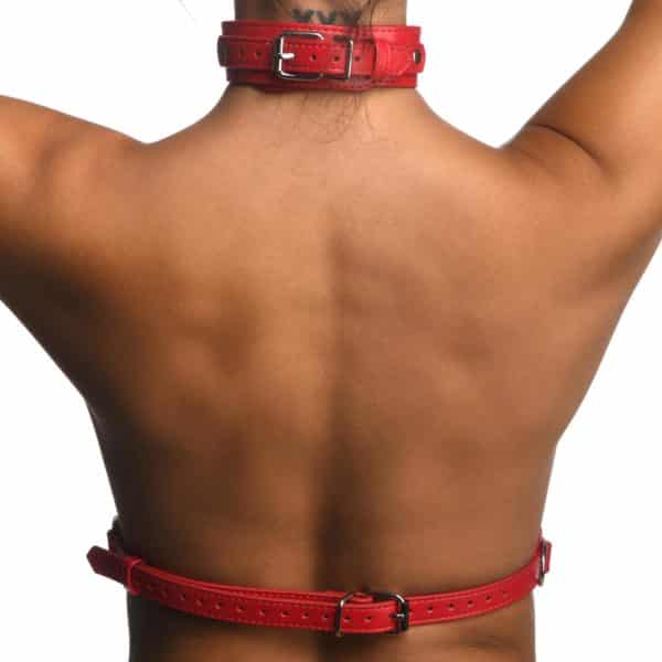 Red Female Chest Harness- Small/Medium-4