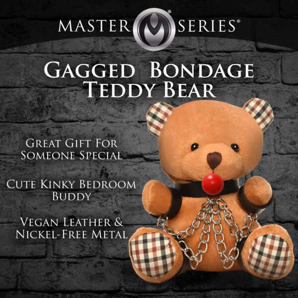 Gagged Bondage Bear-3